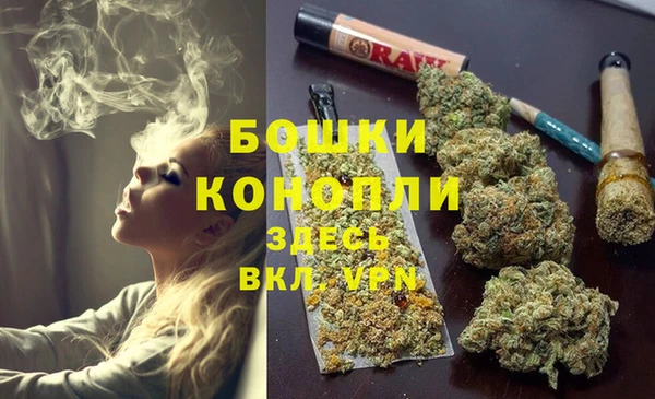дживик Елизово