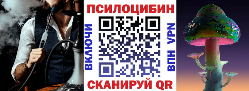 Галлюциногенные грибы Psilocybine cubensis  Купить  Губаха 